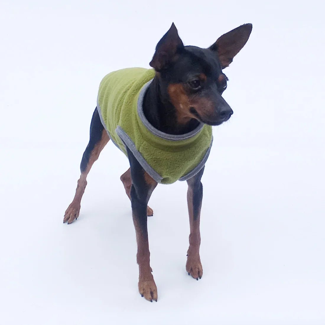 Fleece Dog Clothes Small Dogs Spring Autumn Warm Puppy Cats Vest Shih Tzu Chihuahua French Bulldog Jacket Pug Coats