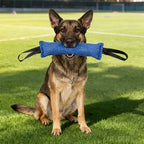 Jute Bite Pillow Dog Tug Toy for Interactive Training and Play
