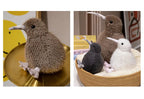 Soft Simulation Kiwi Bird Plush Toys 20-35cm Cute Stuffed birds Animals Soft Doll Kids Toys for Children Birthday Gift