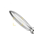 Stainless Steel Fish Scale Remover with Scraper and Bone Tweezers