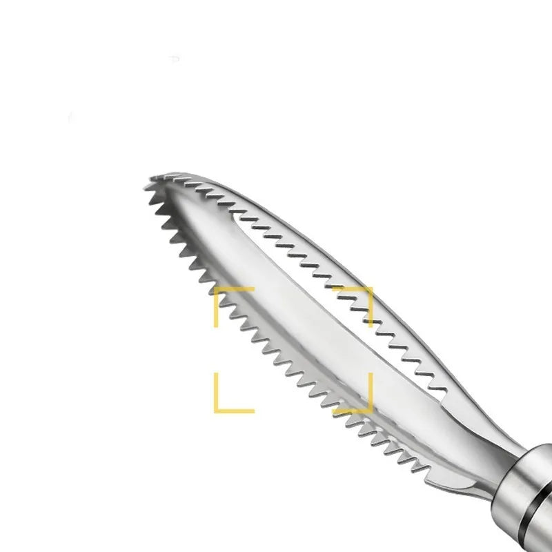 Stainless Steel Fish Scale Remover with Scraper and Bone Tweezers