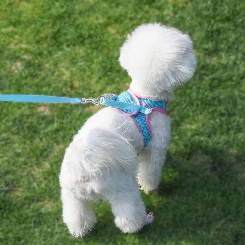 Pet Harness Vest Chest Rope Set for Small Medium Dog Outdoor Walking with 1.5m Rope Reflective Breathable Adjustable Pet Harness