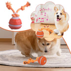 Interactive Motion Activated Dog Ball with Rope for Active Play