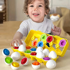 Color & Shape Matching Egg Toy Set – Montessori Learning Puzzle