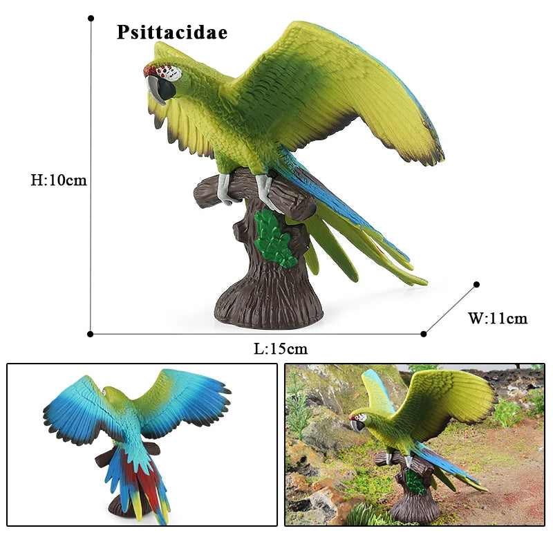 Realistic Bird Animal Figurine Collection